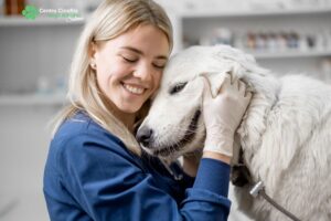 preparare il cane