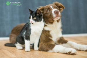 pensione animali